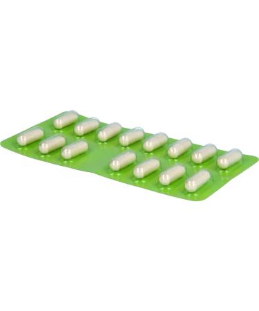 Pro Natura Fructaid - 30 Capsules for Fructose Intolerance Relief | Digestive Support Supplement - Buy Online on GoSupps.com