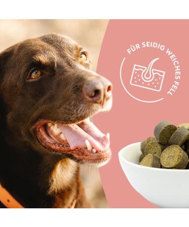Hellobello Skin & Fur Drops for Dogs | 2 x 350g with Algae Oil Brewers Yeast & Biotin for Soft Shiny Fur & Healthy Skin - International Shipping Available - Buy Online on GoSupps.com