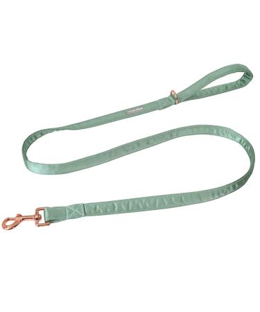 Lionet Paws Dog Leash - Silk Leash for Small Medium Large Dogs Matching Collars for Girls and Boys S Leash (1 Pack) Grassy