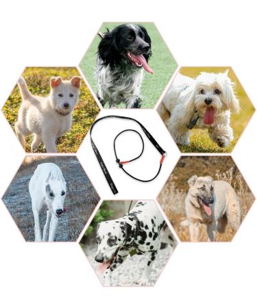 Zopseet Dog Leash Slip Nylon Dog Rope Leash & Collar Dog Choke Collar Handmade of Strong Cord for Small Medium Dogs Puppies - Buy Online on GoSupps.com