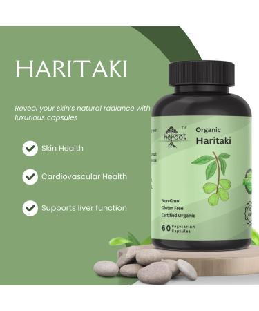 Haritaki Capsules Pack of 2 (60 Each) | 100% Herbal Supplement | Supports Digestive Wellness & Regularity | No Preservatives or Artificial Fillers | Serving Size: 2 120 Count (Pack of 1) - Buy Online on GoSupps.com