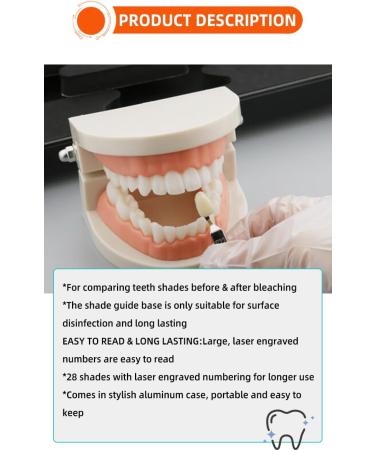 3D R-28 Professional Teeth Whitening Guide for Dentist Teeth Whitening Course Shade Guide with 28 Colors - Buy Online on GoSupps.com
