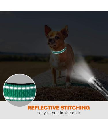 Taglory Soft Padded Neoprene Dog Collar for Puppies Adjustable Reflective & Comfortable Turquoise XS (1 Pack) Perfect for Training & International Shipping - Buy Online on GoSupps.com