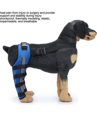 Dog Joint Wrap Dog Leg Support Breathable Pain Relief for Dogs (M) - Buy Online on GoSupps.com