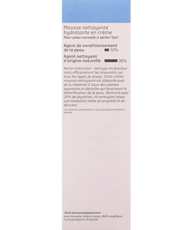 Belif Wormwood Cleansing Foam Face Cleanser 5.4 Fl Oz - Clean Beauty - Buy Online on GoSupps.com