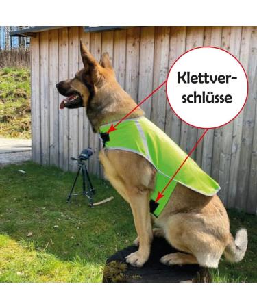 Reflective Dog Warning Vest - Robust Safety Jacket for Dogs | Neon Yellow Sizes Available - Buy Online on GoSupps.com