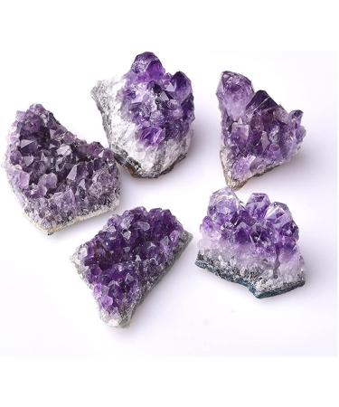 1PC Natural Amethyst Cluster Quartz Raw sStone Decoration Ornament Purple Feng Shui Stone Ore Crafts (Color : Random Delivery Size : 1PC) ningxiao 1PC Random Delivery - Buy Online on GoSupps.com