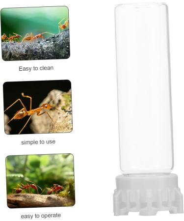 Yardwe Ants Water Dispenser & Irrigation Cup | Ant Feed & Holder Tools for Ant Nests | 10x3 cm - Buy Online on GoSupps.com