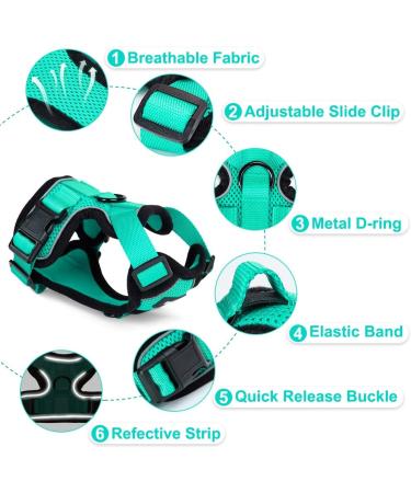 Breakproof Cat Dishes with Adjustable Vest Set for Small Kittens - Reflective Stripes - Green XXS - Buy Online on GoSupps.com
