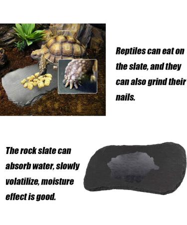 Tfwadmx Reptile Basking Platform Tortoise Rock Plate Feeding Food Bowl Dish Feeding Slate Turtle Bathing Resting Platform for Lizard Gecko Bearded Dragon Chameleon Snake Frog 11''x5.5'' natural - Buy Online on GoSupps.com
