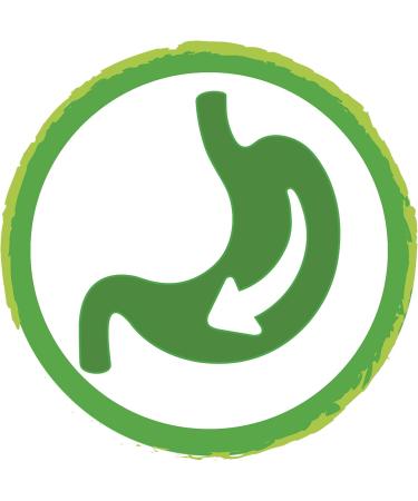 Friskies Vitafit Adult Dog Food in Sauce with Meat/Vegetables for Dogs (packaging may vary) - Buy Online on GoSupps.com