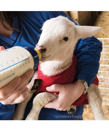 Premier Lamb 'N' Goat Kid Feeding Bottle - Bottle Only - Buy Online on GoSupps.com