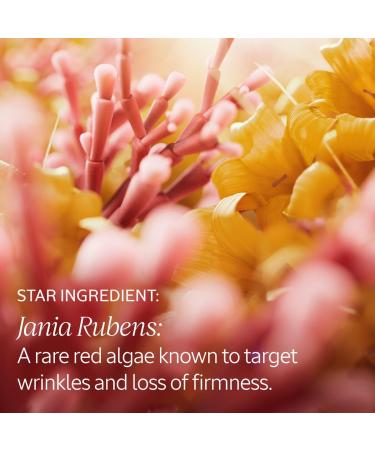 L'OCCITANE Immortelle Harmonie Cream 1.70 fl oz - Buy Online on GoSupps.com