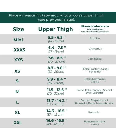 Ortocanis Knee Brace for Dogs | Size XXL Left Leg | Ligament Rupture & Patella Luxation - Buy Online on GoSupps.com