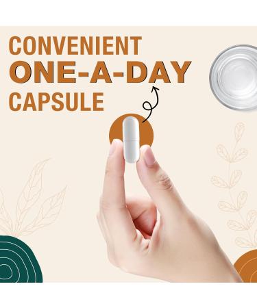 Liposomal Brain Supplements for Memory and Focus - Plasmalogen with Curcumin & Vitamin E for Better Absorption- Suitable for Seniors,Adult Men & Women Cognitive Health,High Potency 60 Servings - Buy Online on GoSupps.com