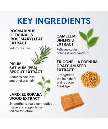 2PCS Hair Growth Serum Roll-on Hair Root Strengthen Serum Scalp Care Improves Scalp Health Increases Density Massage Ball - Buy Online on GoSupps.com