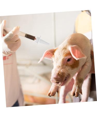 SUPVOX 20 Pcs Injection Heads Pig Supplies Fine Heads 4x2.5cmx2pcs Whitex2pcs - Buy Online on GoSupps.com