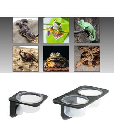 Serenable 3 PCS Reptile Amphibians Chameleon Lizard Feeding Ledge Bowls Double Dish with Suction Cup - Buy Online on GoSupps.com
