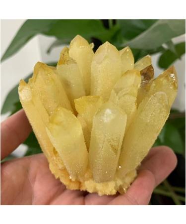 Natural Crystal Rough Crystal Cluster Natural Citrine Phantom Quartz Crystal Cluster Specimen (Size : 750-800g) - Buy Online on GoSupps.com