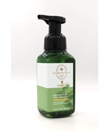 Eucalyptus Spearmint Bath and Body Gentle Foaming Hand Soap 8.75 fl oz