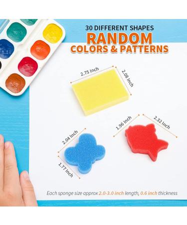 LEOBRO 30pcs Sponge Painting Shapes for Toddlers - Assorted Patterns for Early Learning - Buy Online on GoSupps.com