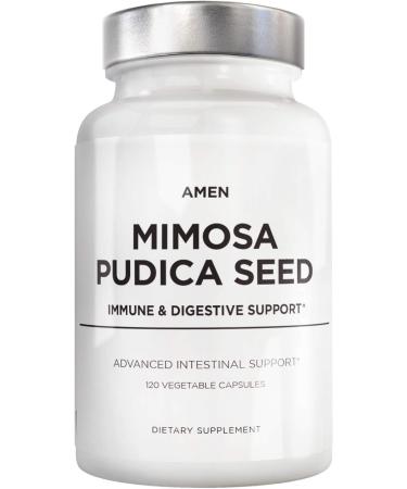 Amen Organic Mimosa Pudica Seeds Capsules  2 Month Supply  Vegan Mimosa Pudica Seed Plant Supplement - Mimosine Sensitive Plant Pills - Fat Soluble Dietary Supplement - Non-GMO & Vegan - 120 Capsules