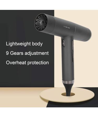 Hair Dryer Professional Portable Fast Drying Low Noise Hairdryer Home Hair Blow Dryer Hair Salon Tool for Home Travel & Salon Black(#2) - Buy Online on GoSupps.com