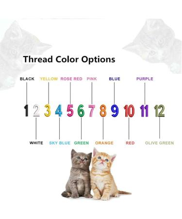 Personalized Cat Neck Bands with Bell - Custom Safety Buckle & Embroidered ID Name (Blue) | International Shipping Available - Buy Online on GoSupps.com