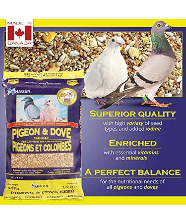 Hagen Pigeon & Dove Seed - Complete Nutritional Bird Food for Healthy Birds - Buy Online on GoSupps.com