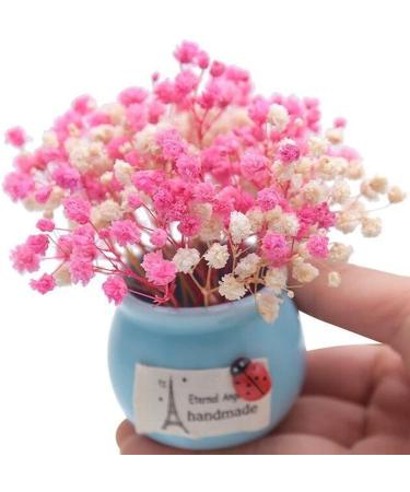 50Pcs Mini Dried Baby's Breath Flowers - Ivory White Bulk Gypsophila Bouquet for Resin Art & DIY Crafts | Perfect Mother's Day Gift, Wedding Decor, Card Making, Home Decor - Buy Online on GoSupps.com