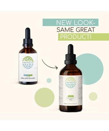 Solomon's Seal B120 Alcohol-Free Herbal Extract Tincture | 4 fl oz Concentrated Liquid Drops - Buy Online on GoSupps.com