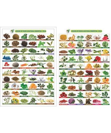 Cotton Seed Oil 100% Pure & Natural - 30 ML | Aromatherapy & Therapeutic Grade Carrier Oil - Buy Online on GoSupps.com