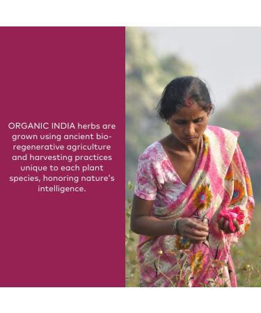 Organic India Triphala Herbal Supplement - 180 Capsules for Digestion, Immune Support, Vegan & Non-GMO - Buy Online on GoSupps.com