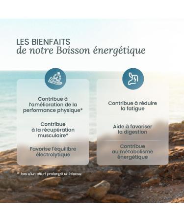 NUTRI & CO Boisson nerg tique Isotonique en Poudre Ratio 2:1 Glucose/Fructose avec BCAA lectrolytes Postbiotiques & Gingembre - Running V lo Hyrox 490g go t p che - Fabriqu en France - Buy Online on GoSupps.com