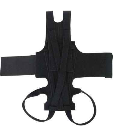 Tzxncbzxc Dog Back Support Ease Discomfort and Aid Healing Supporting Vest for Walking Supportive Dog Back Bracer No Pull Assist Brace for Dogs Back Leg Support Medium - Buy Online on GoSupps.com