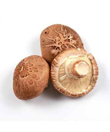 Shiitake Mushroom 2kg