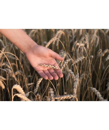  Kamelur Kamelur Organic Puffed Spelt (1 kg) of unsweetened puffed spelt for a delicious muesli - Buy Online on GoSupps.com