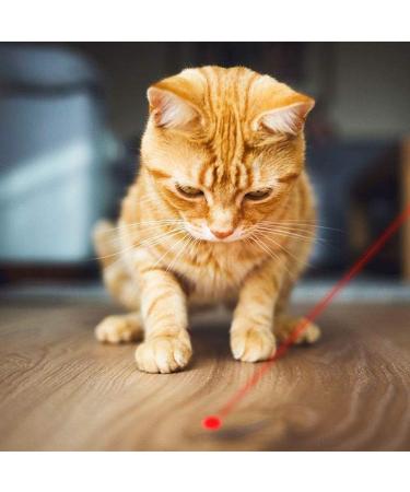 TAIMEI Cat Toys 7 in 1 Function LED Pointer Interactive Cat Toy for Indoor Playing Kitten Toys for Exercising Training Tool for Cat Dog Chaser (9127) - Buy Online on GoSupps.com