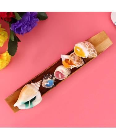 Buy Boat Conch Scented Candle Set | Stress Relief Aromatherapy for Relaxation - International Shipping Available - Buy Online on GoSupps.com