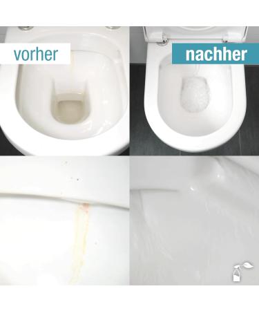 Bio-Chem Urine Stone Remover Extra Strong - 6x1000ml - Powerful Professional Toilet Cleaner Made in Germany - Buy Online on GoSupps.com