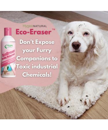 EcoEraser Stain & Odor Remover | Liquid Carpet Rug & Upholstery Cleaner | 32 oz Pet Deodorizing Spot Cleaner - Buy Online on GoSupps.com