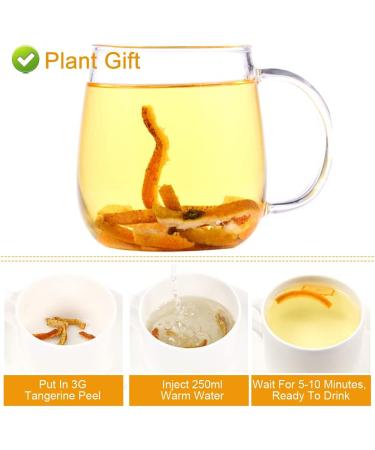 PlantGift Tangerine Peel Tea 80G/2.82oz Dried Orange Peel Herbal Tangerines Chen Pi Tea Rich in Antioxidants and Immune Vitamin C - Buy Online on GoSupps.com