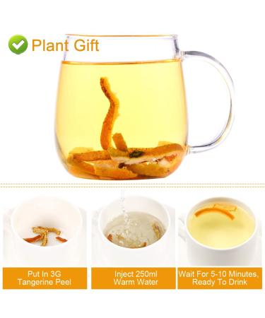 Buy Tangerine Peel Tea 80g - Dried Orange Peel Herbal Tea Rich in Antioxidants & Vitamin C | International Shipping - Buy Online on GoSupps.com