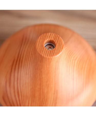 300ml Air Humidifier USB Oil Diffuser - Buy Online on GoSupps.com