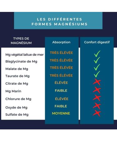 Inolab Synergy 4 Magnesium 1980mg/day & B6 | Bisglycinate + Malate + Organic Plant + Chelated Taurine | 300mg Pure Mg per day | Tolerance and Assimilation Superior to Marine Mg | Premium Quality - Buy Online on GoSupps.com