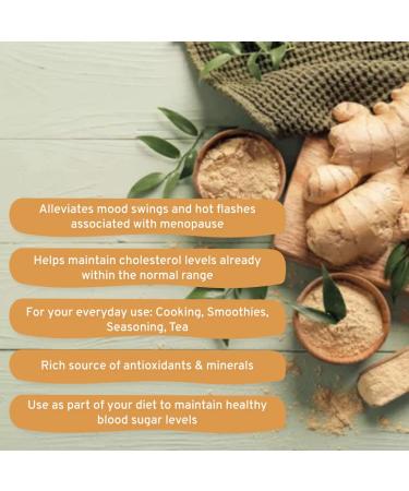 Organic Ginger Powder (397g/14 OZ) - 100% Raw Ground Ginger Root from India | Spice Train Gingerol for Cooking, Baking, Smoothies & Tea - Buy Online on GoSupps.com
