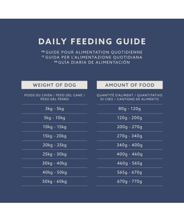 by Amazon - Complete Adult Dog Food Rich in Lamb and Rice 5 kg Pack of 1 - Buy Online on GoSupps.com