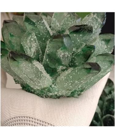 Natural Crystal Rough Crystal 750-850g 1pc Natural Green Phantom Quartz Crystal Cluster Gemstone Geode Adornment Suitable for Home Office Decoration - Buy Online on GoSupps.com