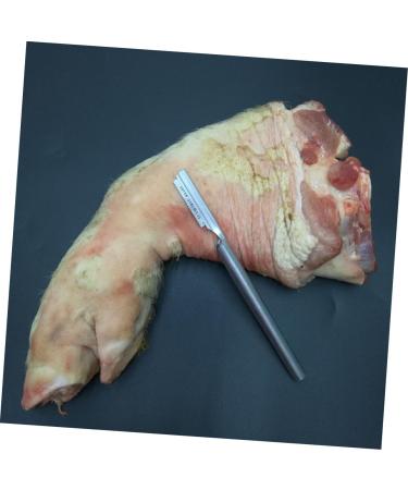 Minkissy 10 STK Pig Hair Blade Holder - Japanese Fish Tweezers & Metal Cleaning Devices for Body Care | Stainless Steel Scraper for Pigs - Buy Online on GoSupps.com