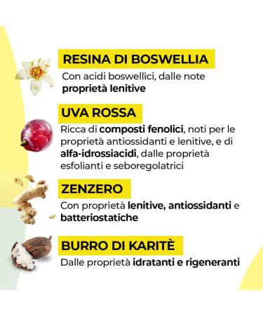  Altagamma Italia PURAFILL RESET Purifying Vegetable Soap 100 g - Face Impure Skin - Buy Online on GoSupps.com